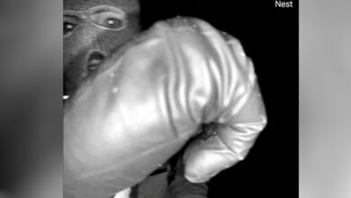 Σαβάνα-Γκάθρι:-Συνελήφθη-ύποπτος-για-την-απαγωγή-της-μητέρας-της-–-Τα-ντοκουμέντα-και-η-έκκληση-της-δημοσιογράφου