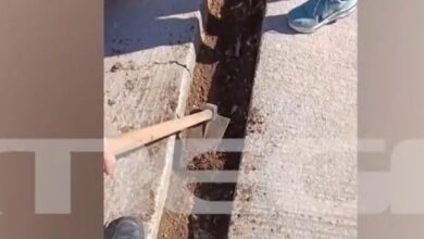 Χαλάνδρι:-Απομακρύνθηκε-η-διευθύντρια-του-ΕΠΑΛ-που-έβαζε-τους-μαθητές-να-σκάβουν-για-να-σβήνει-απουσίες