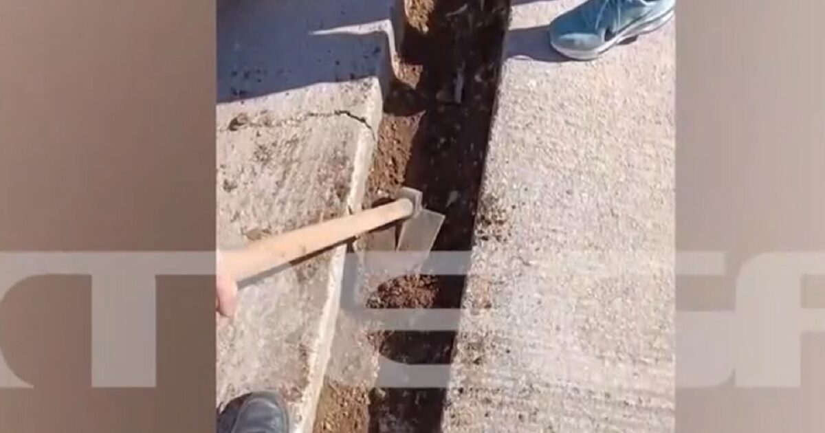 Χαλάνδρι:-Απομακρύνθηκε-η-διευθύντρια-του-ΕΠΑΛ-που-έβαζε-τους-μαθητές-να-σκάβουν-για-να-σβήνει-απουσίες