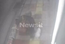 Περιστέρι:-«Μου-έκλεψε-τον-Λόκι-και-έσκισε-και-τις-αφίσες-του-για-να-μην-τον-εντοπίσουμε»,-λέει-η-γυναίκα-που-της-άρπαξαν-τον-σκύλο