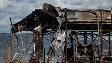 «Βιολάντα»:-Η-στιγμή-της-σύλληψης-του-ιδιοκτήτη-του-εργοστασίου-–-Αναβαθμίστηκε-το-κατηγορητήριο