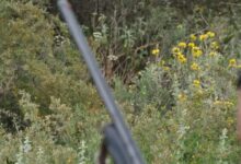 Φθιώτιδα:-Μεθυσμένος-άνδρας-πυροβόλησε-και-σκότωσε-κυνηγόσκυλο