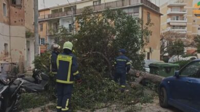 Κακοκαιρία:-Έπεσαν-δέντρα-στην-Αττική-από-τους-ισχυρούς-ανέμους-–-Σε-συναγερμό-η-Πυροσβεστική-σε-5-περιοχές