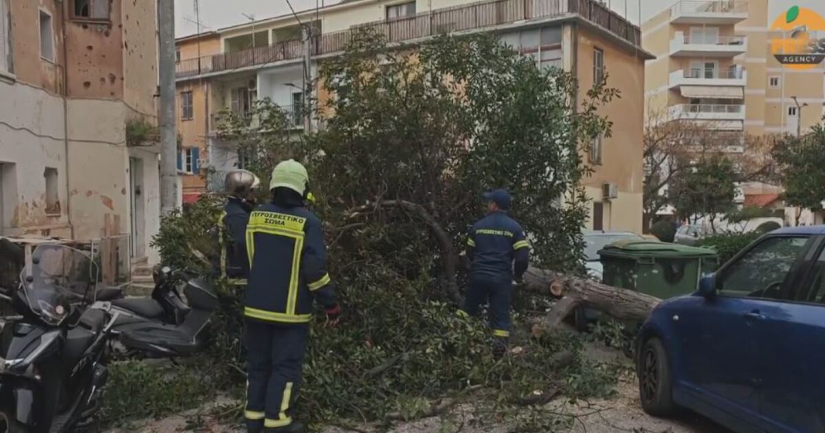 Κακοκαιρία:-Έπεσαν-δέντρα-στην-Αττική-από-τους-ισχυρούς-ανέμους-–-Σε-συναγερμό-η-Πυροσβεστική-σε-5-περιοχές