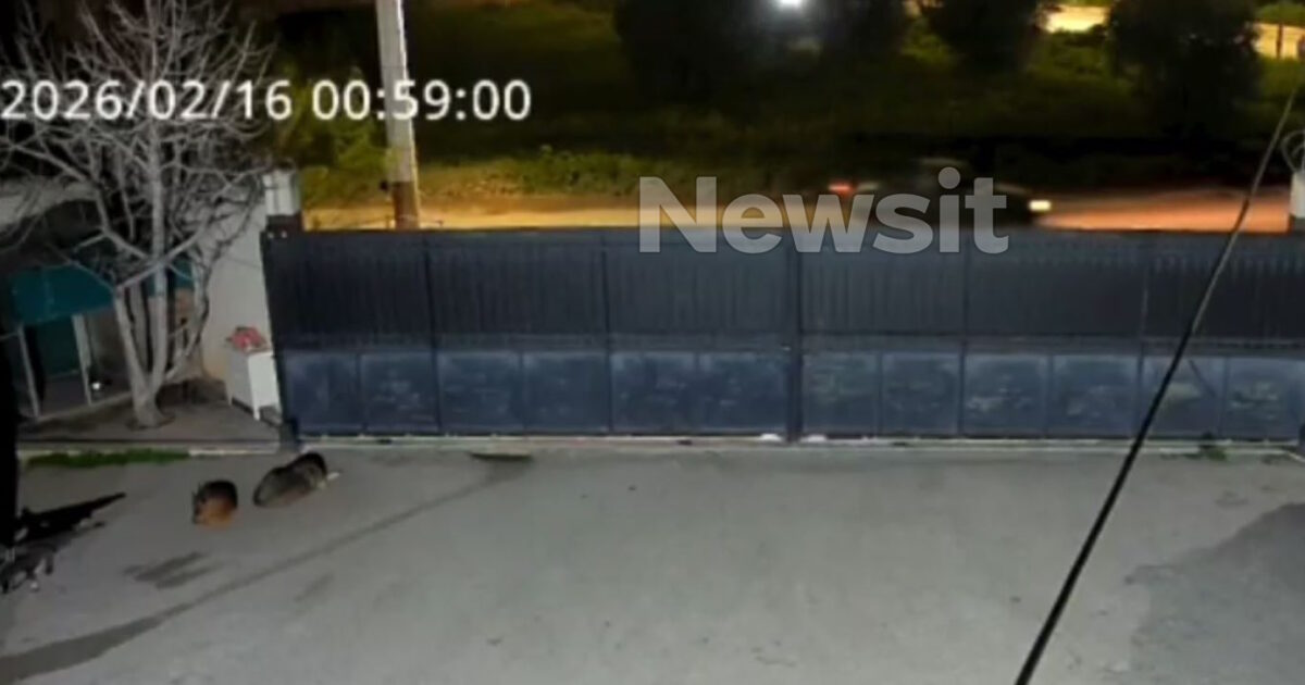 Ασπρόπυργος:-Βίντεο-ντοκουμέντο-λίγο-πριν-τη-σύγκρουση-του-αγροτικού-του-41χρονου-με-το-φορτηγό