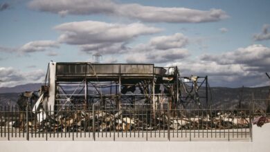 Βιολάντα:-Προς-αναστολή-λειτουργίας-και-το-τρίτο-εργοστάσιο-στη-Λάρισα-–-Βρέθηκε-κρυφή-αποθήκη-300-με-400-τετραγωνικά-μέτρα