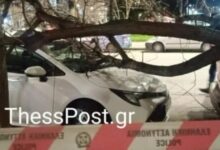 Θεσσαλονίκη:-Δεκάδες-πτώσεις-δέντρων-από-τους-θυελλώδεις-ανέμους-–-Ακυρώθηκαν-πτήσεις-στο-«Μακεδονία»