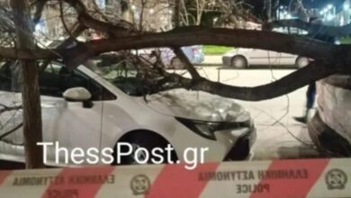 Θεσσαλονίκη:-Δεκάδες-πτώσεις-δέντρων-από-τους-θυελλώδεις-ανέμους-–-Ακυρώθηκαν-πτήσεις-στο-«Μακεδονία»