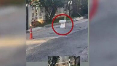 Γέρακα:-Κρατούσαν-θέση-πάρκινγκ-με-λεκάνη-τουαλέτας