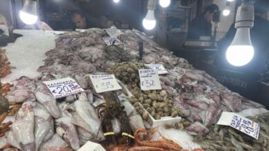 Καθαρά-Δευτέρα:-Στα-22-ευρώ-τα-καλαμαράκια,-πάνω-από-3,30-η-λαγάνα-–-Οι-ώρες-λειτουργίας-για-Βαρβάκειο-και-Ρέντη