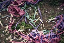 Έδεσσα:-Μαχαίρωμα-νεαρών-στο-καρναβάλι-–-Στο-νοσοκομείο-και-οι-δύο