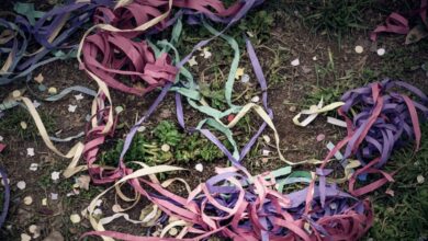 Έδεσσα:-Μαχαίρωμα-νεαρών-στο-καρναβάλι-–-Στο-νοσοκομείο-και-οι-δύο