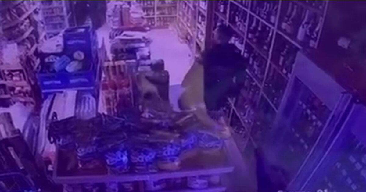 Θεσσαλονίκη:-Διαρρήκτες-εισέβαλαν-σε-κάβα-–-Ένας-εντοπίστηκε-σφηνωμένος-στο-φρεάτιο-του-ασανσέρ