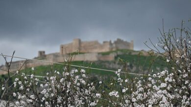 Καιρός-αύριο:-Συννεφιά-και-μικρή-πτώση-της-θερμοκρασίας