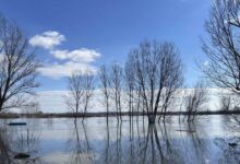 Έβρος:-«Τα-νερά-είναι-πάρα-πολλά-και-η-εικόνα-θυμίζει-το-2015-με-την-πλημμύρα-της-εκατονταετίας»-λέει-ο-αντιπεριφερειάρχης