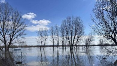 Έβρος:-«Τα-νερά-είναι-πάρα-πολλά-και-η-εικόνα-θυμίζει-το-2015-με-την-πλημμύρα-της-εκατονταετίας»-λέει-ο-αντιπεριφερειάρχης