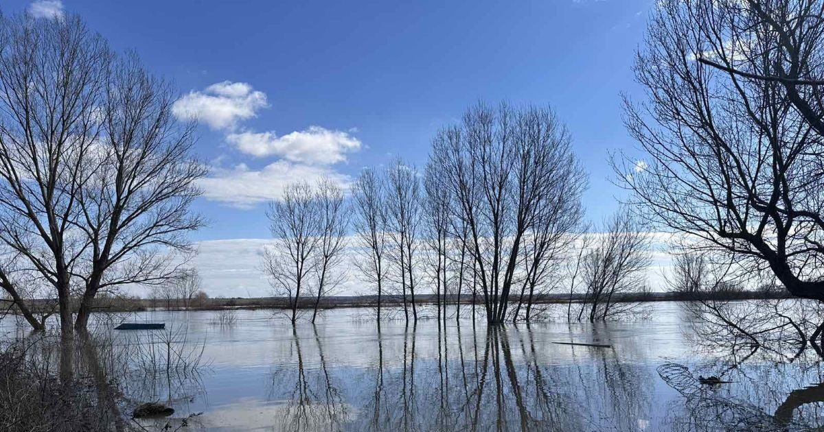 Έβρος:-«Τα-νερά-είναι-πάρα-πολλά-και-η-εικόνα-θυμίζει-το-2015-με-την-πλημμύρα-της-εκατονταετίας»-λέει-ο-αντιπεριφερειάρχης