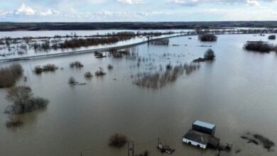 Ο-Έβρος-παραμένει-σε-«κατάσταση-συναγερμού»-από-τις-πλημμύρες:-«Μάχη»-για-να-μην-σπάσουν-τα-αναχώματα