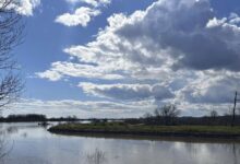 Έβρος:-Ώρες-αγωνίας-για-τους-κατοίκους-των-παρόχθιων-χωριών-–-Φόβος-για-μεγάλες-ποσότητες-νερού-από-την-Βουλγαρία