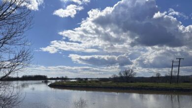 Έβρος:-Ώρες-αγωνίας-για-τους-κατοίκους-των-παρόχθιων-χωριών-–-Φόβος-για-μεγάλες-ποσότητες-νερού-από-την-Βουλγαρία