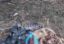 Χαλκιδική:-Βρέθηκε-σακούλα-με-ανθρώπινα-οστά-–-«Ήταν-μέσα-σε-βαλίτσα»-περιγράφει-ο-πρόεδρος-του-Πευκοχωρίου-που-την-βρήκε