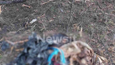 Χαλκιδική:-Βρέθηκε-σακούλα-με-ανθρώπινα-οστά-–-«Ήταν-μέσα-σε-βαλίτσα»-περιγράφει-ο-πρόεδρος-του-Πευκοχωρίου-που-την-βρήκε