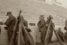 Καισαριανή:-Στην-κατοχή-του-Υπουργείου-Πολιτισμού-οι-φωτογραφίες-της-εκτέλεσης-των-200-και-το-σύνολο-των-262-ντοκουμέντων-του-Βέλγου-συλλέκτη