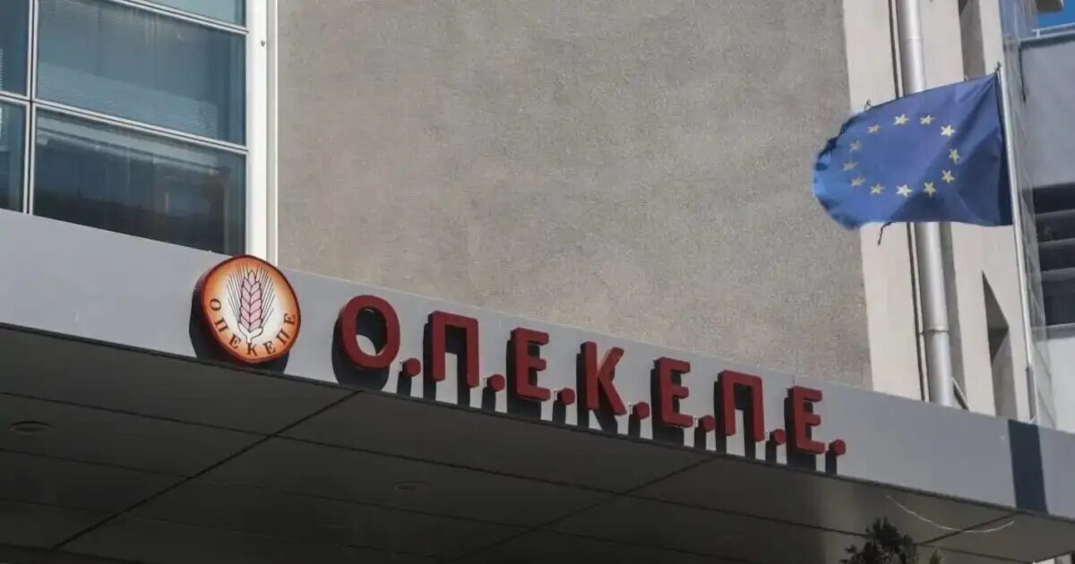 ΟΠΕΚΕΠΕ:-Τα-«τυφλά-σημεία»-που-εκμεταλλεύτηκαν-επιτήδειοι-για-να-εισπράττουν-παράνομες-επιδοτήσεις-–-Τι-κατέθεσαν-σε-δίκη-στελέχη-του-Οργανισμού
