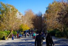 meteo:-Ο-χειμώνας-2025-2026-είναι-ο-δεύτερος-θερμότερος-στην-Ελλάδα-από-το-1960