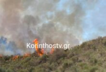 Φωτιά-στα-Σοφιανά-Κορινθίας-–-Ισχυρές-δυνάμεις-στο-σημείο
