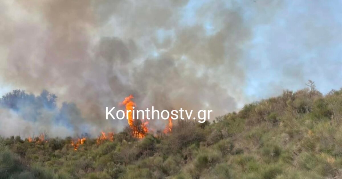 Φωτιά-στα-Σοφιανά-Κορινθίας-–-Ισχυρές-δυνάμεις-στο-σημείο