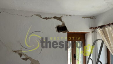 Θεσπρωτία:-Ζημιές-σε-σπίτια-από-τα-5,3-Ρίχτερ-–-Βίντεο-από-την-στιγμή-του-σεισμού