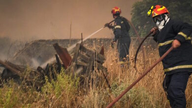 Φωτιά-στη-Σητεία,-15-πυροσβέστες-και-2-ομάδες-δασοκομάντο-στη-μάχη-με-τις-φλόγες