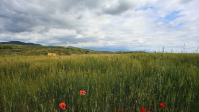 Καιρός-σήμερα:-Βροχές-σε-δυτικά,-κεντρικά-και-βόρεια-με-«βουτιά»-της-θερμοκρασίας