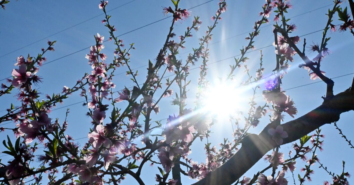 Καιρός-σήμερα:-Ανοιξιάτικο-σκηνικό-με-υψηλές-θερμοκρασίες