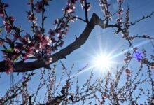 Καιρός-αύριο:-Ήλιος-με-«δόντια»-με-ανέμους-έως-5-μποφόρ-και-τοπικές-βροχές-στα-ορεινά