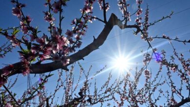 Καιρός-αύριο:-Ήλιος-με-«δόντια»-με-ανέμους-έως-5-μποφόρ-και-τοπικές-βροχές-στα-ορεινά