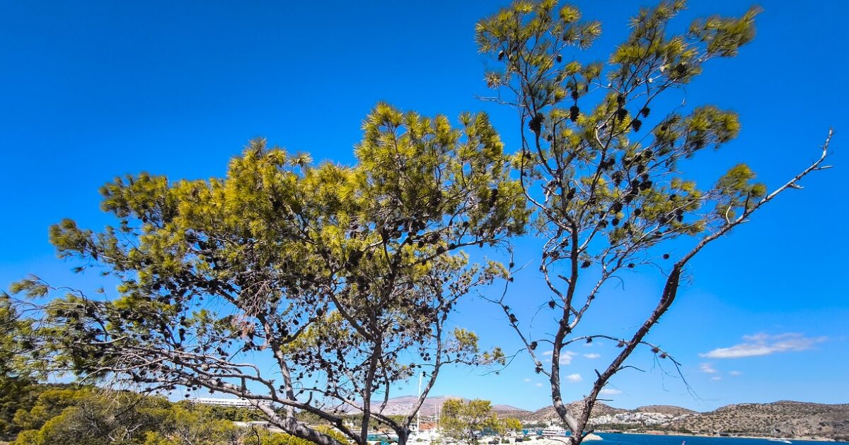 Καιρός-σήμερα:-Ήλιος-στη-μισή-Ελλάδα,-συννεφιά-και-βροχές-στην-υπόλοιπη,-αναλυτική-πρόγνωση