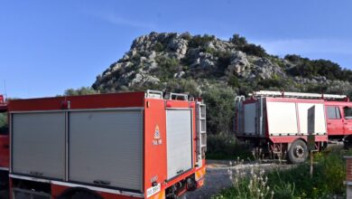 Φωτιά-στην-Αρραβωνίτσα-Αχαΐας-–-Συναγερμός-στην-πυροσβεστική