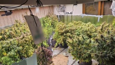 Θεσσαλονίκη:-Είχαν-μετατρέψει-μονοκατοικία-σε-εργαστήριο-υδροπονικής-κάνναβης-–-Δύο-συλλήψεις