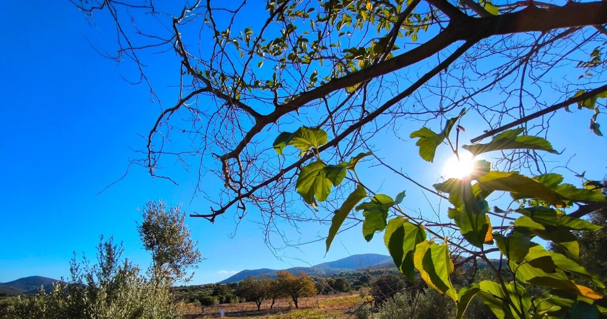 Καιρός-σήμερα:-Στους-19-βαθμούς-η-θερμοκρασία-με-ισχυρούς-ανέμους-στο-Αιγαίο