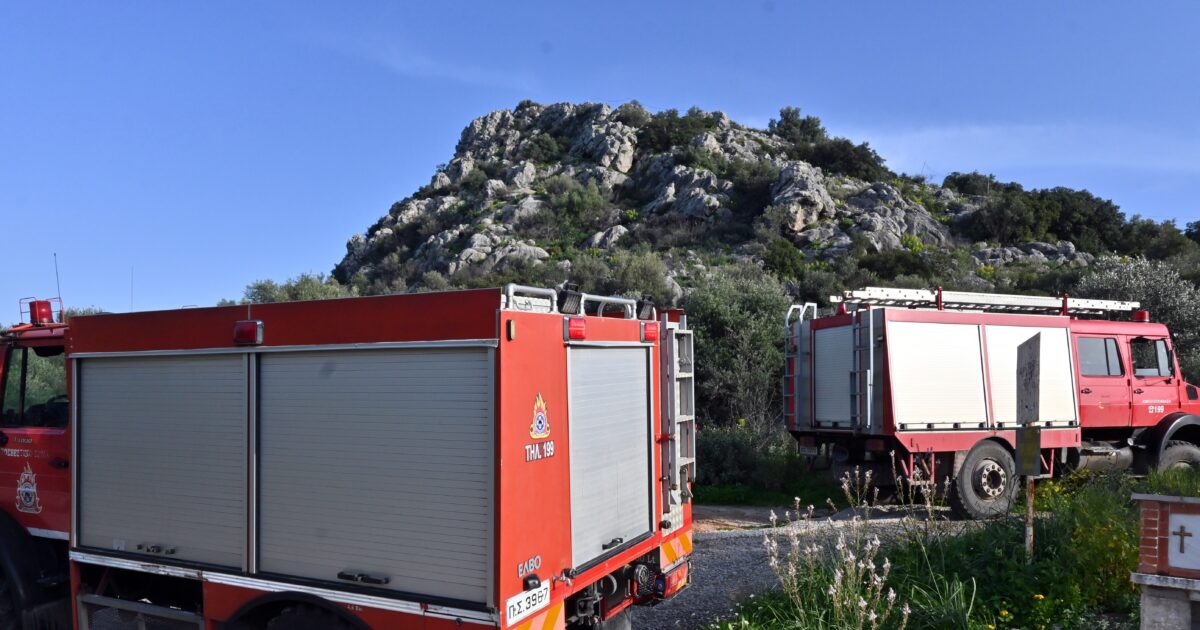 Φωτιά-σε-αγροτοδασική-έκσταση-στην-Κεφαλονιά-–-Μεγάλη-κινητοποίηση-της-πυροσβεστικής