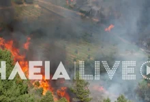 Φωτιά-στην-Ηλεία:-Διπλό-μέτωπο-στην-περιοχή-Ελαιώνας