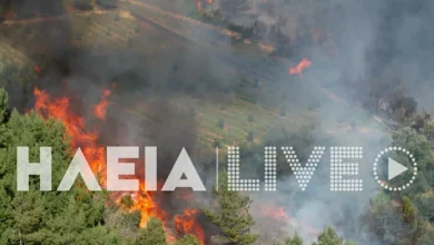 Φωτιά-στην-Ηλεία:-Διπλό-μέτωπο-στην-περιοχή-Ελαιώνας