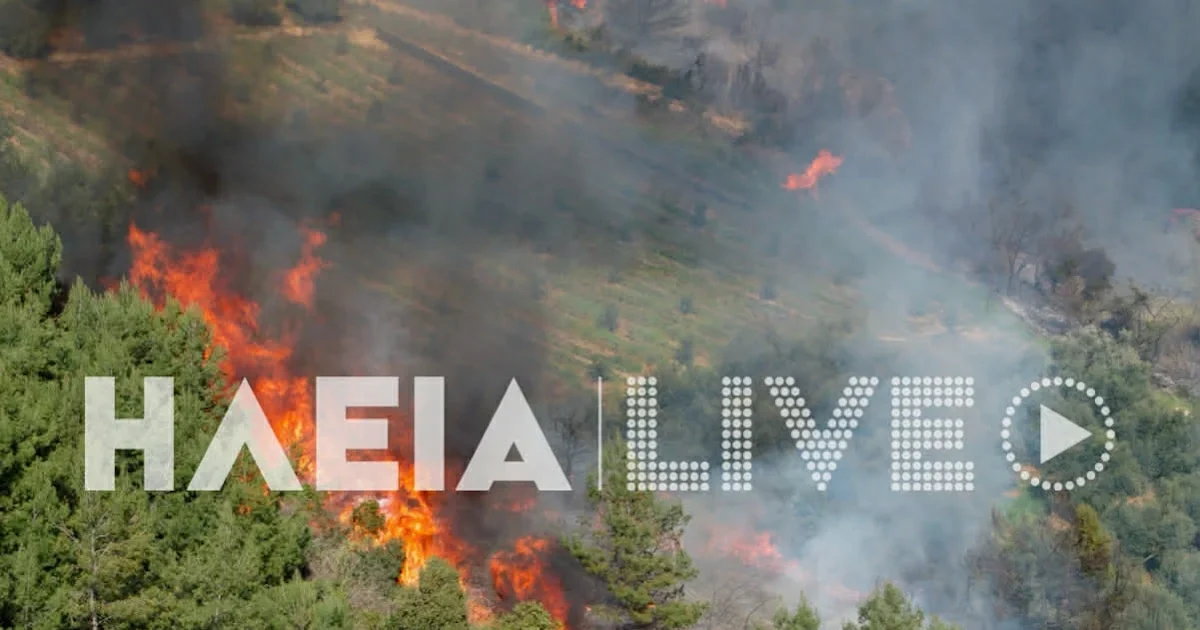 Φωτιά-στην-Ηλεία:-Διπλό-μέτωπο-στην-περιοχή-Ελαιώνας
