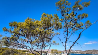 Καιρός-αύριο:-Τοπικές-βροχές-και-ισχυρά-μποφόρ-στο-Αιγαίο