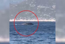 Καστελόριζο:-Βίντεο-από-τη-στιγμή-της-βύθισης-του-σκάφους-της-frontex-–-Στο-νοσοκομείο-Ρόδου-η-πρέσβης-της-Εσθονίας