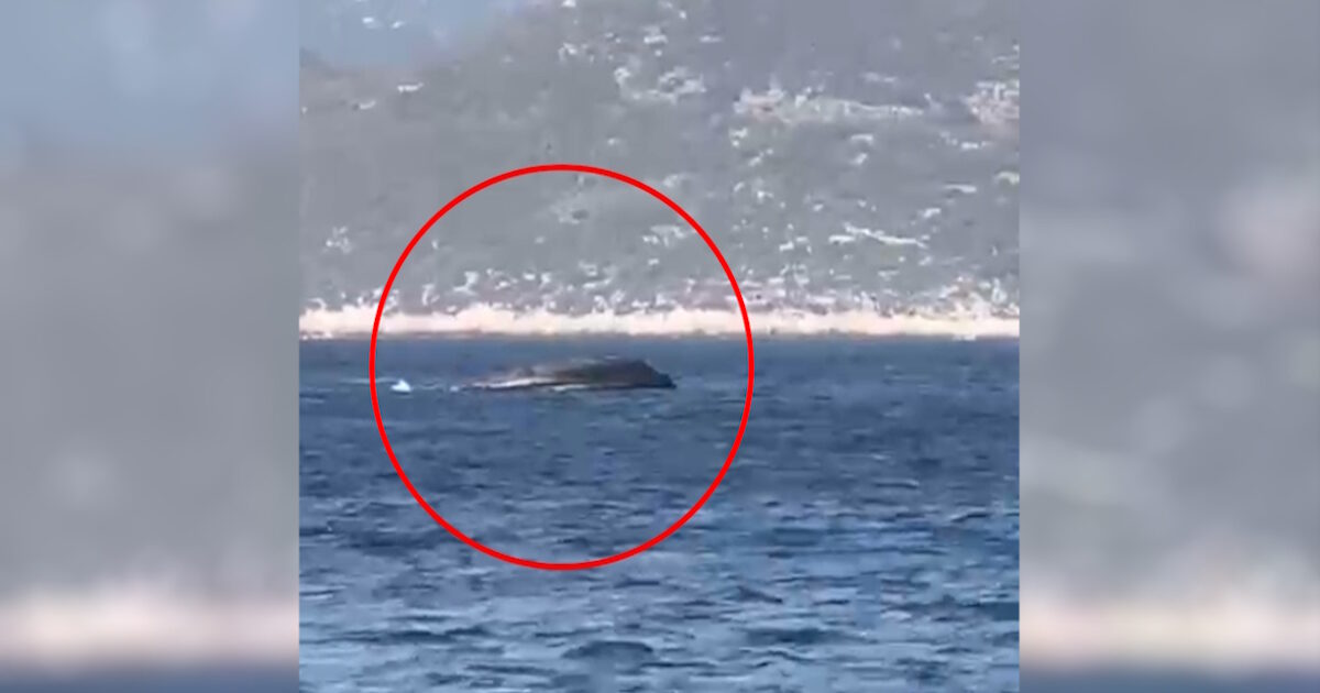 Τα-σενάρια-πίσω-από-τη-βύθιση-του-σκάφους-της-frontex-στο-Καστελόριζο-–-Ο-επικίνδυνος-ελιγμός,-η-ξέρα-και-τα-βράχια-της-νησίδας-Ψαρωδιά