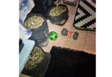 Αιγάλεω:-Συνελήφθη-οδηγός-σχολικού-να-κάνει-χρήση-ναρκωτικών-εν-ώρα-εργασίας-–-Βρέθηκε-εργαστήριο-κάνναβης-στο-σπίτι-του