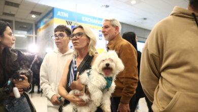 Πάνω-από-2.000-Έλληνες-επαναπατρίστηκαν-από-τη-Μέση-Ανατολή-–-«Η-πατρίδα-θα-στέκεται-πάντα-δίπλα-τους»,-λέει-ο-Γεραπετρίτης